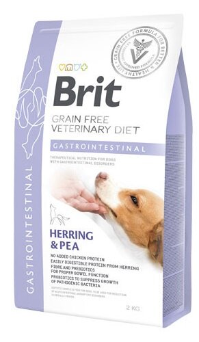 BVD DOG GASTROINTESTINAL 2KG-1