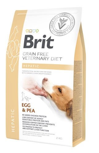 BVD DOG HEPATIC 12KG-2