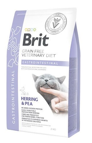 BVD CAT GASTROINTESTINAL 2KG-1