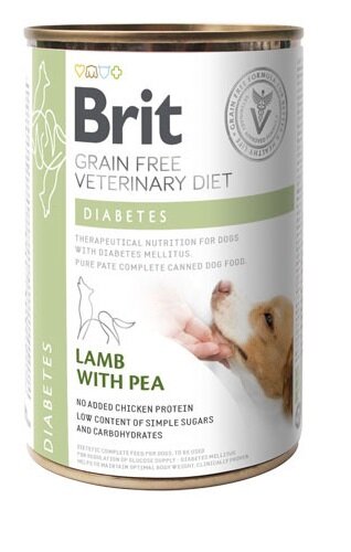 BVD DOG DIABETES 400G-1