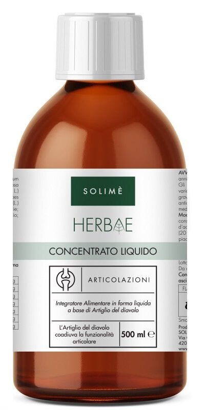 CONCENTRATO LIQUIDO ARTIC500ML-1
