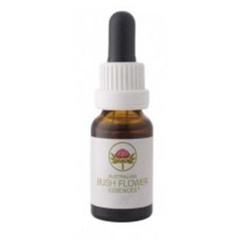 Green Remedies Monga Waratah Australian Bush Flower 15 ml-1