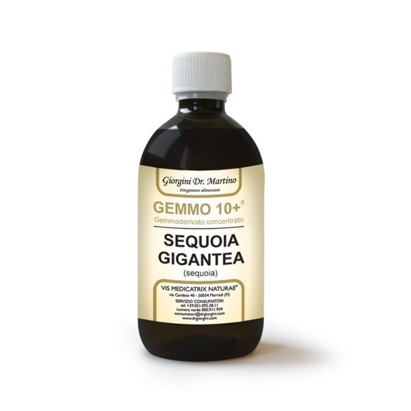 Dr. Giorgini Gemmo 10+ Sequoia Gigantea (sequoia) 500 ml-1