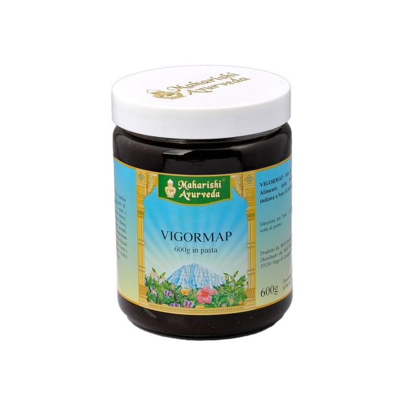Vigormap respirazione 600g in pasta-1