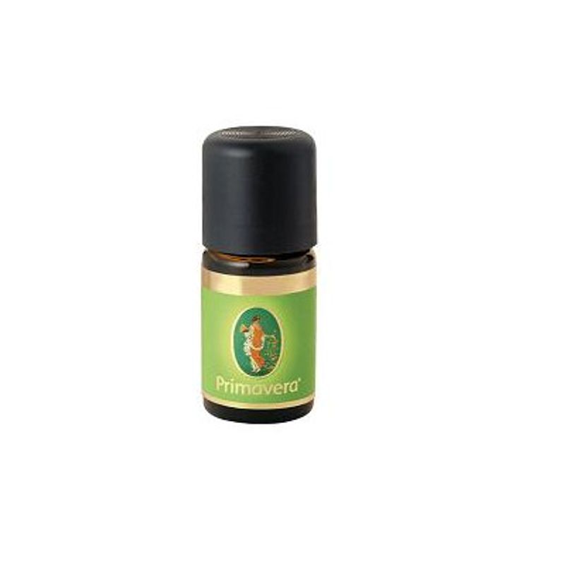 Cannella foglie 6% 10 ml Olio Essenziale-1