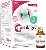 Salugea Cartilagea 18 Flaconcini-2