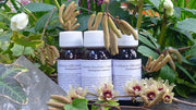 LVS 70C Olea Europea Compositum 60ml-1
