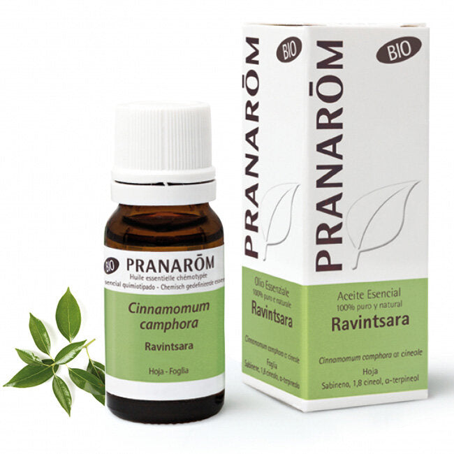 Olio Essenziale Bio Ravintsara 10ml-1