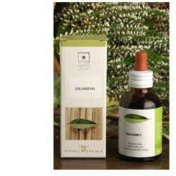 ORTICA BIO 50ML STV-1