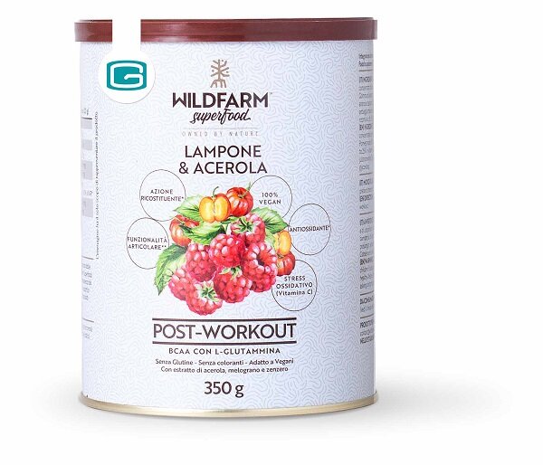 WILDFARM POST WORK LAM&ACE350G-1