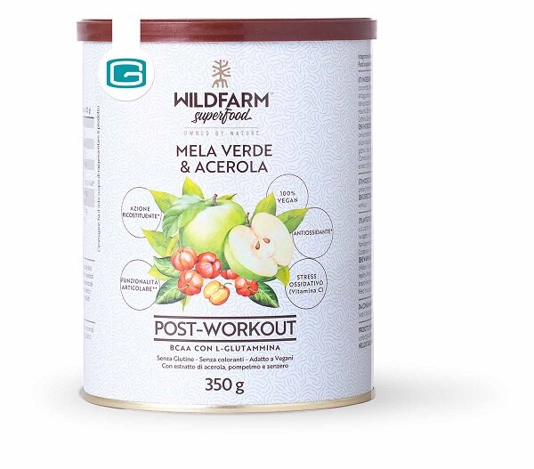 WILDFARM POST WORK MEL&ACE350G-1