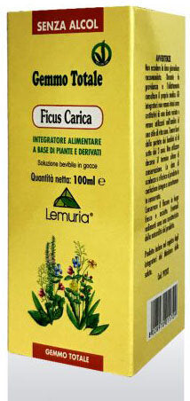 FICUS CARICA 100ML-1