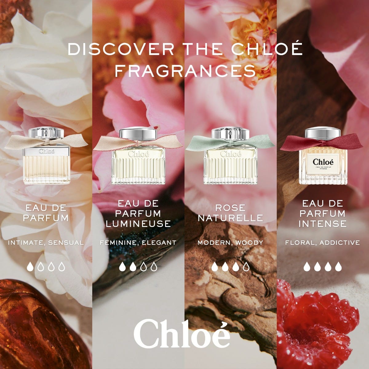 Chloé l’Eau de Parfum Intense Donna Ricarica 150ml