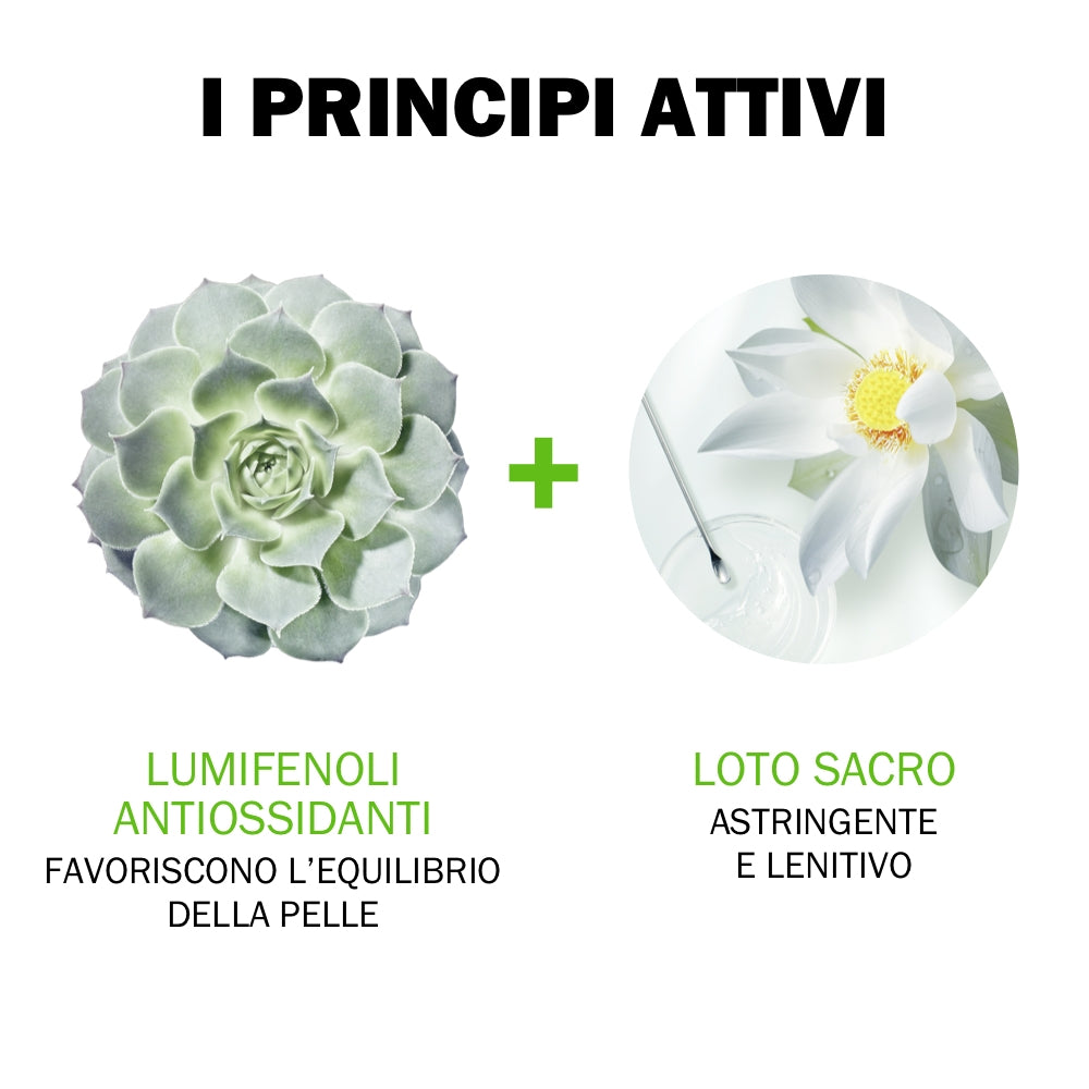 Jowaé Fluido Riequilibrante Opacizzante Anti Imperfezioni Viso 40 ml-4