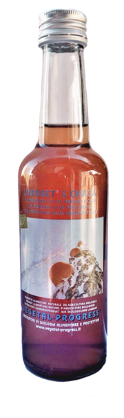 Vegetal Progress Linfabet & Chaga difese immunitarie 250ml-1