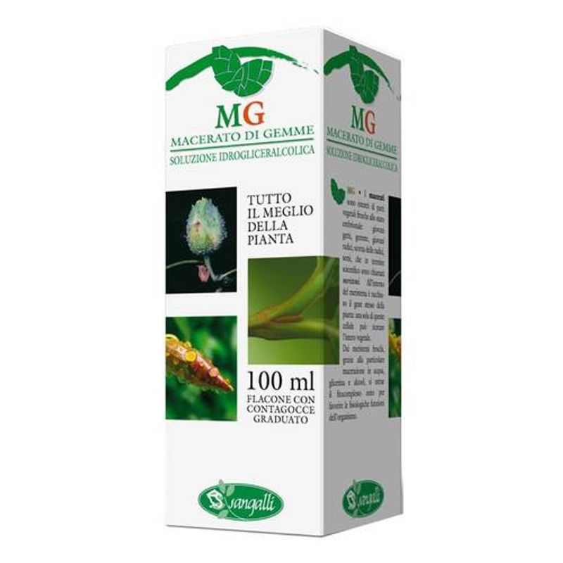 Ippocastano Macerato Glicerico 100ml-1