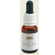 Green Remedies Dog Rose of the Wild Forces Integratore alimentare 15ml-1