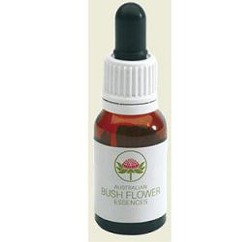 Green Remedies Dog Rose of the Wild Forces Integratore alimentare 15ml-1