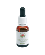 Green Remedies Boronia contro i pensieri ossessivi e l'insonnia 15ml-1