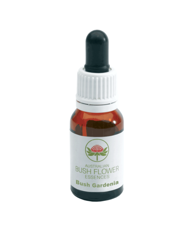 Green Remedies Bush Gardenia aiuta a rinnovare l'interesse verso gli altri 15ml-1