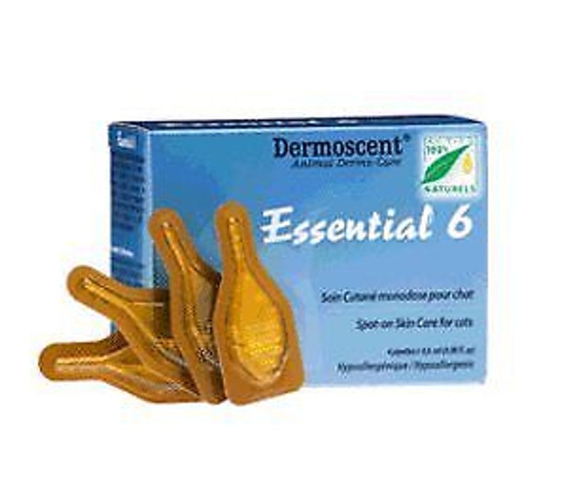 Dermoscent Essential 6 Spot On Gatti 4 pipette-1