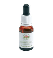 Australian Banksia Robur gocce 15ml-1
