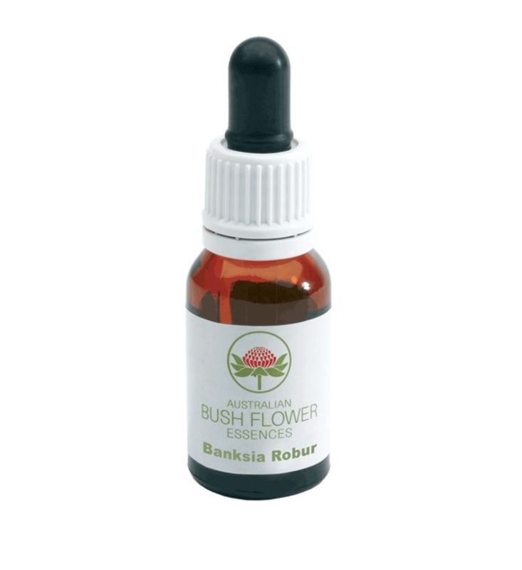 Australian Banksia Robur gocce 15ml-1
