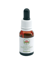 Australian Bauhinia gocce 15ml-1