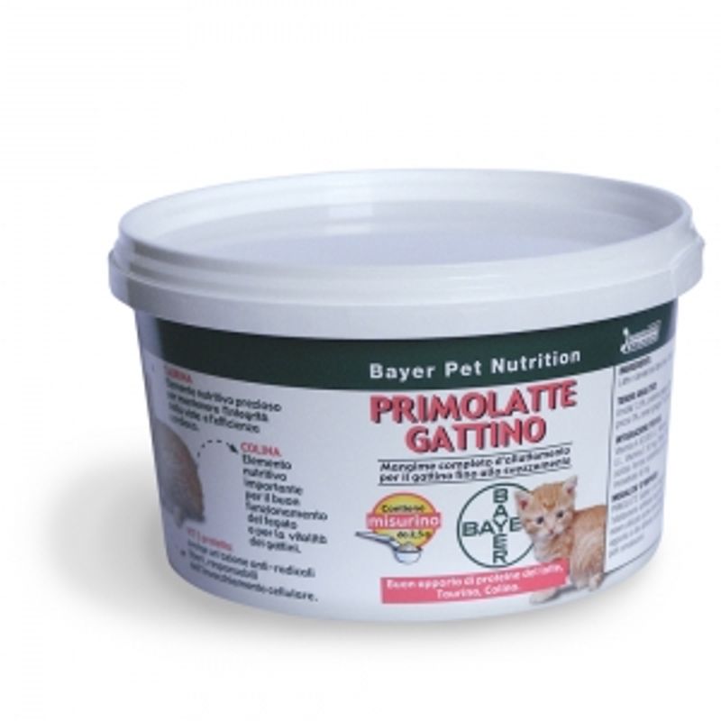 Primolatte gattino-1
