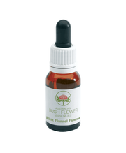 Green Remedies Pink Flannel FLW Australian Bush 15ml-1