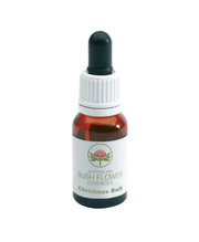 Green Remedies Christhmas Bell gocce 15ml-1
