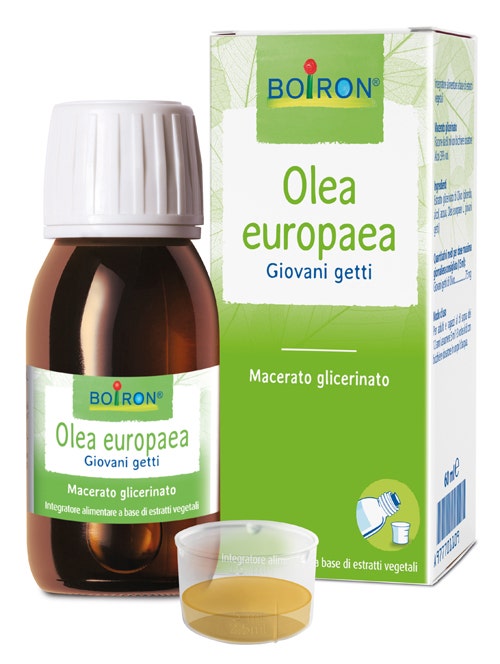 Boiron Olea Europaea Giovani Getti macerato glicerinato 60ml-1