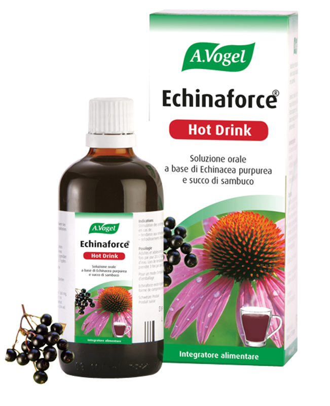 Echinaforce Hot Drink utile per le difese immunitarie 100ml-1