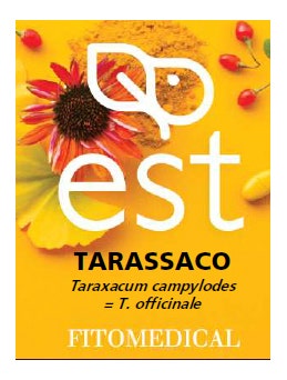 TARASSACO ESTRATTO SECCO 60TAV-1