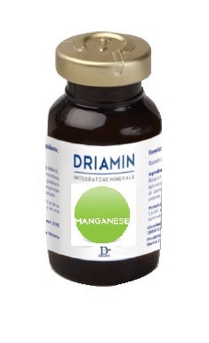 DRIAMIN MANGANESE 15ML-1