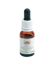 Green Remedies Spider Orchidea Australian 15ml-1