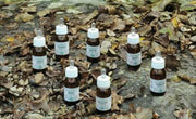 Plantasalus Oleolito da Massaggio Alchemica Valgelata 30 ml-1