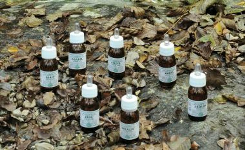 Plantasalus Oleolito da Massaggio Alchemica Valgelata 30 ml-1