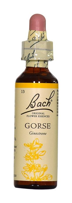 Fiori di Bach n.13 Gorse ginestrone 20ml-1