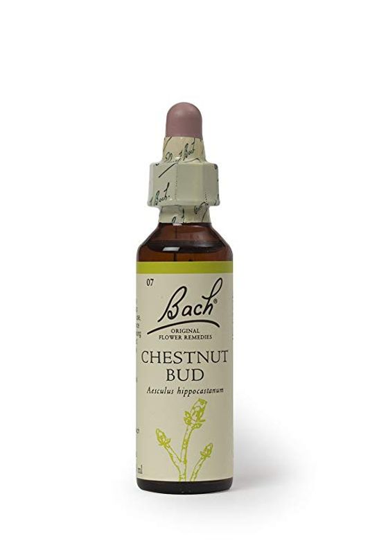 Fiori di Bach n.07 Chestnut Bud gemma di ippocastano 20ml-1