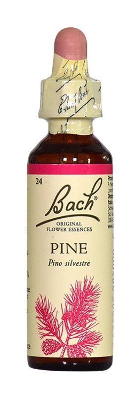 Fiori di Bach n.24 Pine pino silvestre 20ml-1
