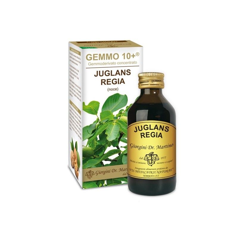 Dr. Giorgini Noce 10+ Gemmoderivato analcolico 100 ml-1