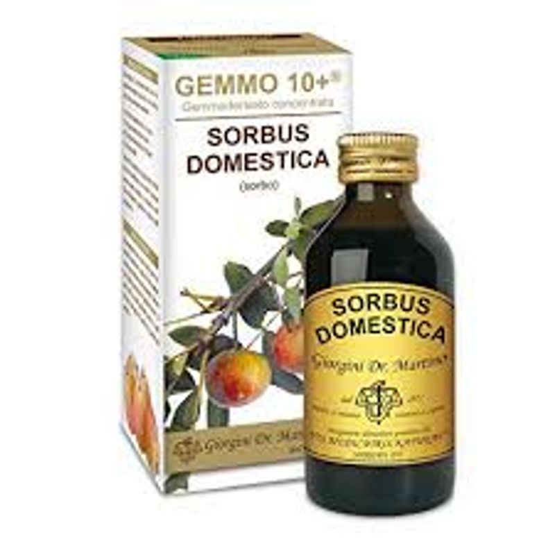 Dr. Giorgini Sorbo Gemmoderivato Analcolico 100 ml-1