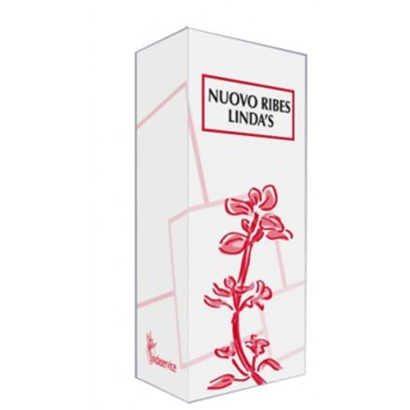 Linda's Nuovo Ribes benessere delle vie respiratorie gocce 50ml-1