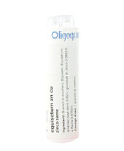 Forza Vitale Equisetum Zn Cn 100 globuli-1