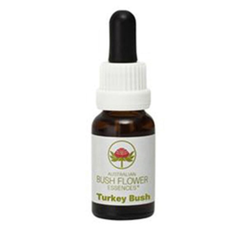 Australian Turkey Bush essenza singola gocce 15ml-1