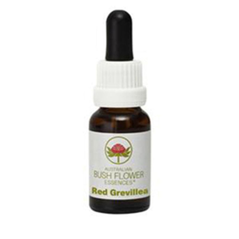 Red Grevillea Australian gocce 15ml-1