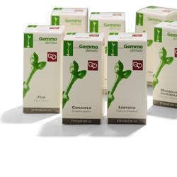 Fitomedical Carpino Macerato Glicerico 200ml-1