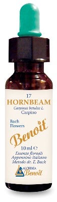 BENOIT FIORI DI BACH HORNBEAM-1