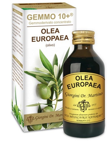 OLIVO 100ML ANALCO GEMMO 10+-1